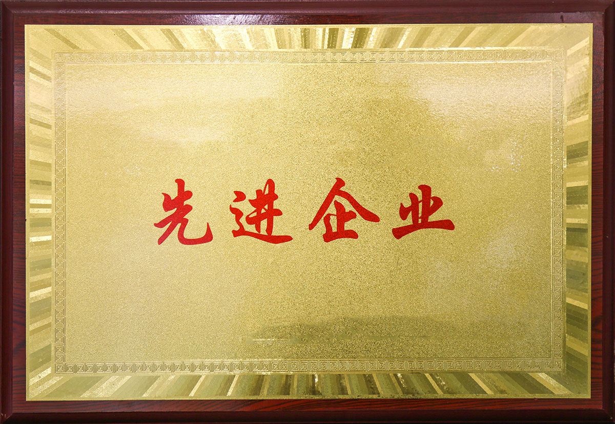 先進(jìn)企業(yè)5